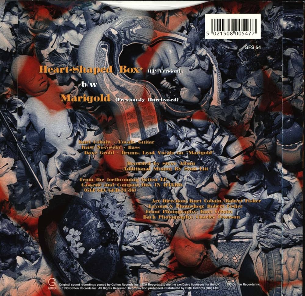 NIRVANA/Heart-Shaped Box/12inch/レコード Nirvana – Heart-Shaped Box – CD (Card Sleeve, Promo), 1993